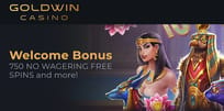 Bonus of the Month: Goldwin Casino Is the Top Choice