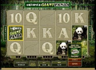 Untamed giant panda