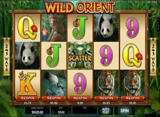 Wild orient