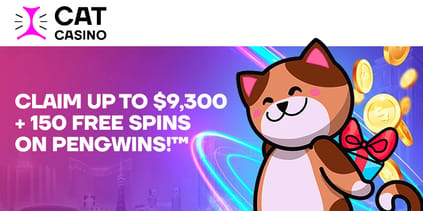 CatCasino banner