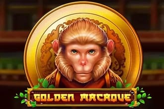 Golden macaque