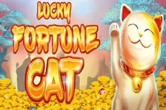 Lucky fortune cat