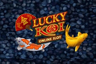 Lucky koi