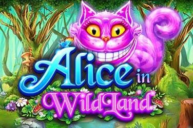 Alice in wildland